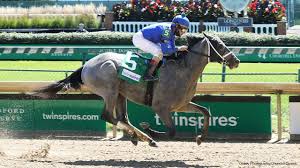 Get the lowdown on all 20 kentucky derby horses in the 2021 race as our expert handicapper ranks the entries from worst to first. Essential Quality 2021 Kentucky Derby Oaks April 30 And May 1 2021 In 2021 Kentucky Derby Horses Derby Horse Horse Profile