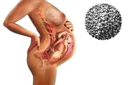 The Hepatitis B Birth-Dose Debate: What Changed for Newborns in 2026