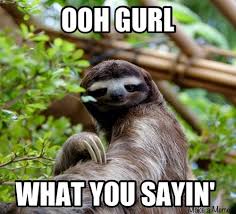Humor Sloth Sloth Meme Funny Animals