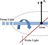 Frontiers | Atomic magnetometers and their application in ...