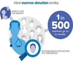 Red blood cells carry oxygen through the body; Steps Of Bone Marrow Donation Or Pbsc Donation Be The Match