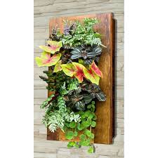 Find all your indoor growing supplies at indoor gardens, ohio's leading hydroponics store online. Vertical Living Wall Garden Vertical Garden Indoor Living Wall Garden Wall Garden