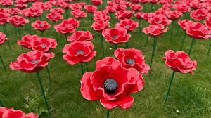 Image result for Poppy Red 1998 AAV