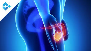 We did not find results for: Prostatauntersuchung Nutzen Und Nebenwirkungen Phytodoc