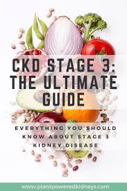 Chronic Kidney Disease Stage 3 The Ultimate Guide