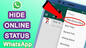 Select the first plus settings entry in the menu now visible in that corner. How To Hide Online Status On Whatsapp Whatsapp Online Hide Youtube