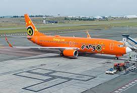 3 (3 active), average fleet age: Mango Fleet Details And History