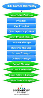 Tcs Career Hierarchy Chart Hierarchystructure Com