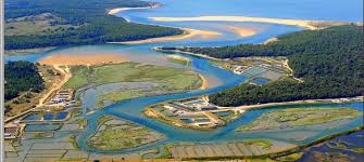 Estuaire Du Payre A Talmont Saint Hilaire La Langue De Sable Que L On Voit Au Fond C Est La Plage Du Veillon Vendee Paysage Bord De Mer