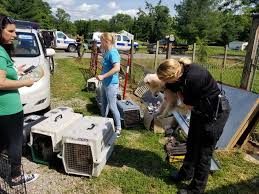 La plata county humane society (lpchs), is registered as a 501. Local Humane Societies Rescue More Than 60 Dogs From Pike County Home
