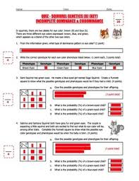 Explain the difference between incomplete dominance and codominance Quiz Squirrel Genetics With Incomplete Dominance And Codominance Part B
