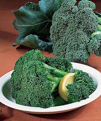 Green goliath is a variety of broccoli that is harvested 60 days after planting and is ideal for spring, summer, or fall. Green Comet Green Bean Connection