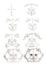 Hier sind alle anleitungen gesammelt, die sich mit dem zeichnen und darstellen von menschen befassen. Katzen Zeichnen Schritt Fur Schritt Anleitung Dekoking 3 Katze Zeichnen Katze Zeichnung Anleitung Katze Malen