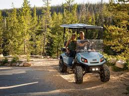 Theyre rarer to see, but petrol engine golf carts are produced by many brands. Cart Sales Chief Cart Inc Lansing Michigan