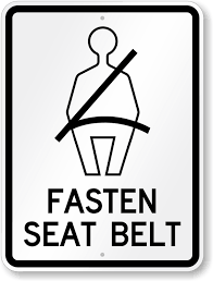 Image result for seat belt