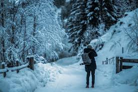Bc spca kelowna branch, kelowna, bc. 4 Winter Hikes In The Kelowna Area To Try In 2020 La Casa Cottages