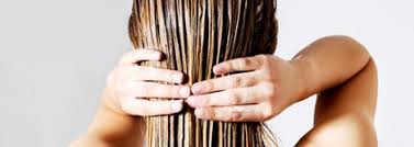 5 Traitements A L Huile D Olive Pour Les Cheveux Huile D Olive