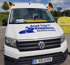 Maybe you would like to learn more about one of these? Dogs And Cats Transport Towards Uk Road Trip To Happiness