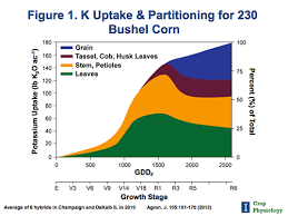 understanding nutrient requirements for high yielding corn