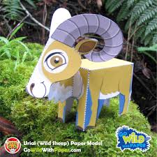 Papercraft Animal Craft 3d Paper Model Urial Wild Sheep Beautiful Wild Sheep Craft For Kids To Make E Sheep Crafts Animal Crafts For Kids Craft Activities
