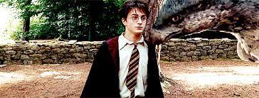 Log In Harry Potter The Prisoner Of Azkaban Daniel Radcliffe