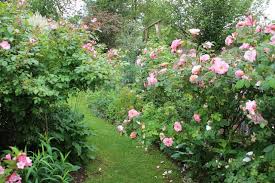Notre Jardin Secret La Folie Avec Images Joli Jardin Beaux Jardins Petit Jardin De Ville