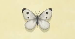 Check spelling or type a new query. Acnh Common Butterfly How To Catch Price Animal Crossing Gamewith