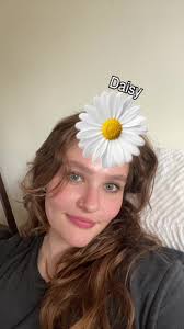 Daisy Flower Bouquet Filter