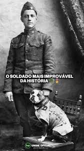 Incrível! , Parece mentira, mas essa é a história real do Stubby. , Cachorros são seres realmente surpreendentes. , Um verdadeiro soldado. 🫡🐶, Compartilhe com aquele amigo ou amiga que vai gostar de ...