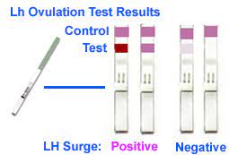 Predicting Your Fertility Using Ovulation Tests Predictor Kits