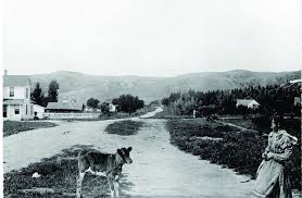 Painter Avenue 1890 California History Whittier Whittier California