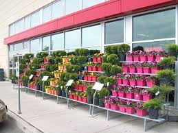 Garden Center Displays Google Search Garden Center Displays Floral Display Retail Display