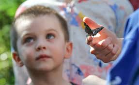 Michelle Pemberton's best photos of 2018