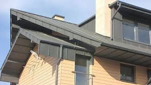 Pin Von Pelikan Auf Metal Roof Dach Haus