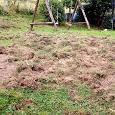 Vergrämen von wildschweinen aus gärten und parkanlagen. Wildschweine An Der Schmalsgotte Nachrodt Wiblingwerde