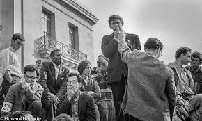 Non-White FSM Arrestees and Participants