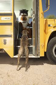 A New Student Jumping On The Dog School Bus Headed For School Dog School Doggie School Bus Dog Trainer