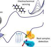 Silver Inkjet-Printed Electrode on Paper for Electrochemical ...
