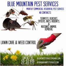 A pest control professional gets rid of pest infestations, and usually, spend a significant amount of time educating distressed customers about the various methods that may be used to manage these pests. Blue Mountain Pest Services Photos Facebook