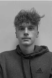 Committee recommends impeachment proceedings for Goldy