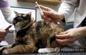 수의학 및 수의사, 축산위생, haccp 교육, 학회세미나 등 수록. ì¶©ë¶ëŒ€ ìˆ˜ì˜ëŒ€ 2024ë…„ ì„¸ì¢…ìº í¼ìŠ¤ ê°œì„¤ 150ëª… ê·œëª¨ ì—°í•©ë‰´ìŠ¤