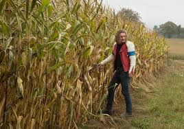 Gutland (govinda van maele | 2017). Luxembourg Pins Its Hopes On Gutland For The Oscars Cineuropa