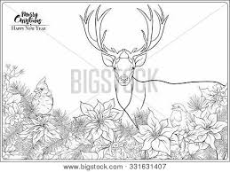 From simple and easy christmas images to elaborate adult designs, we have all of the best printable christmas wreath coloring pages. Christmas Wreath Vector Photo Free Trial Bigstock
