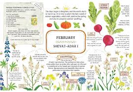 Get flowers calendars from zazzle. A Gregorian Calendar That Helps The Israeli Garden Grow The Times Of Israel