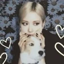 16 Hank_says_hank ideas