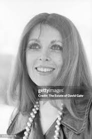 268 Taylor Sanford Stock Photos, High-Res Pictures, and Images