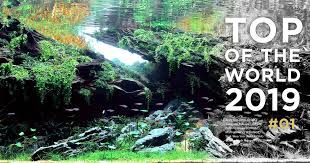 In response to the complaints, the government held a design competition to give those who felt like they could do a better job a chance to submit their own designs to the tourism ministry. Top Of The World 2019 01 Ada