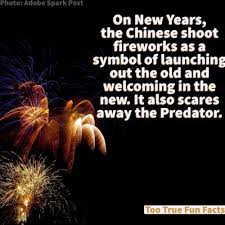 New Years Eve Fun Fact Fun Facts Facts Fun