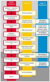 Porphyria A Royal Pain In My Ass Porphyria Chart