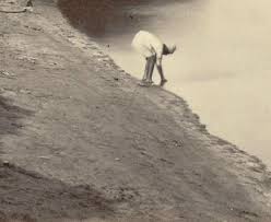 ASAP Art | Photography as a Fine Art ...